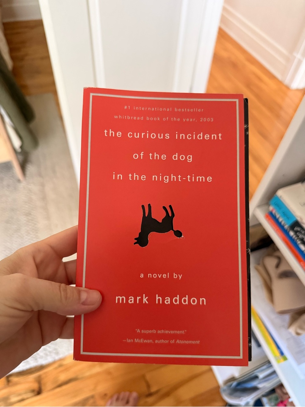 The Curious Incident of the Dog in the Night-Time by Mark Haddon - Red Paperback
